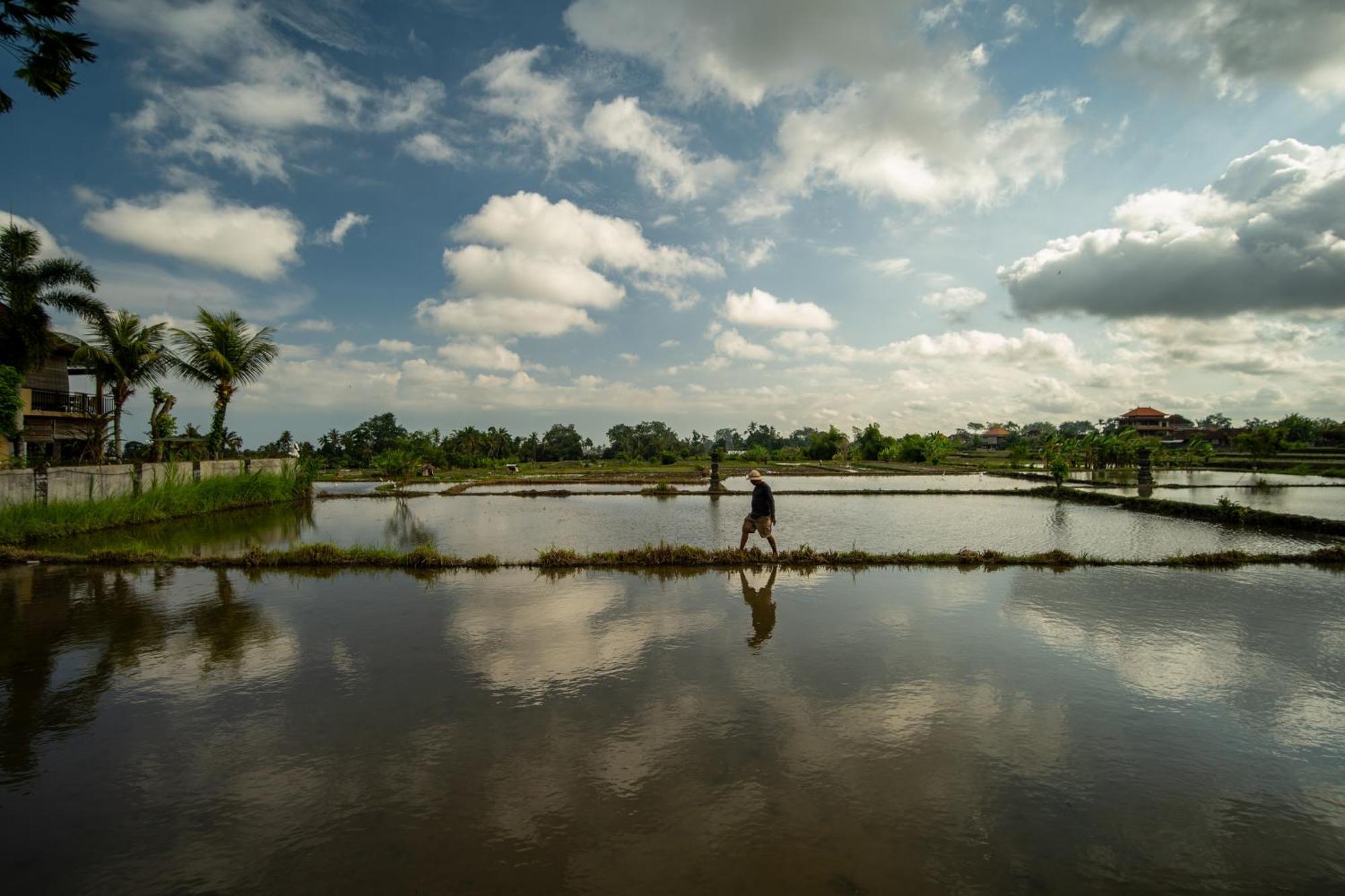 Kubu Sari Ubud المظهر الخارجي الصورة